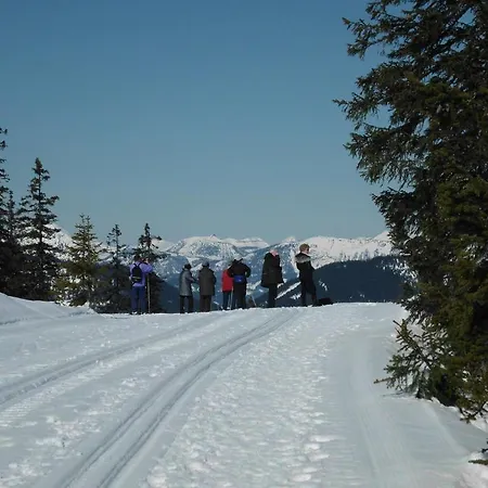 Puerstinger Διαμέρισμα Altenmarkt im Pongau